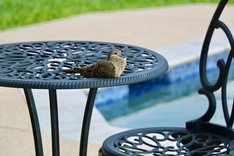 Patio repurposing