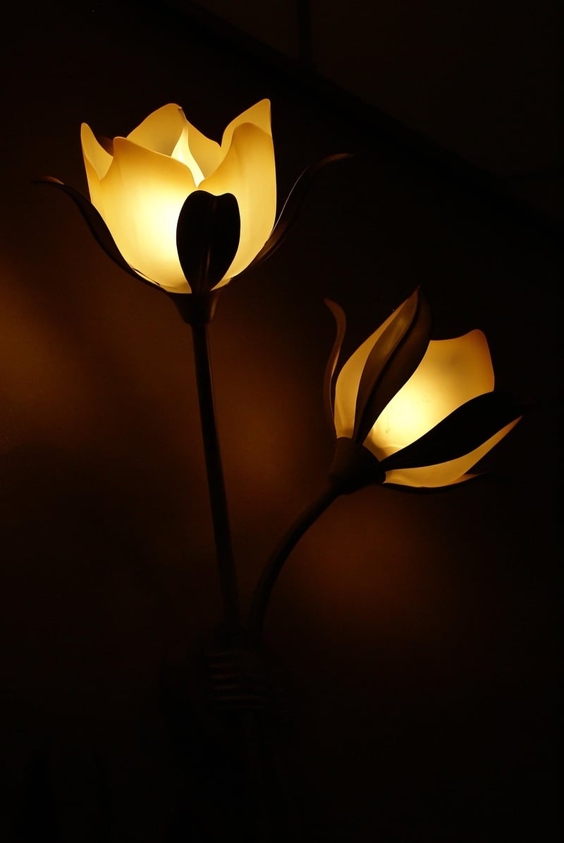 Outdoor Lighting